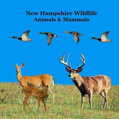 New Hampshire Animals and Mammals Kids Wildlife Book: Great Wildlife Book about Animals and Mammals in New Hampshire by Marie, Kinsey