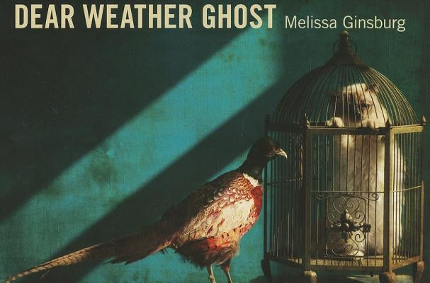 Dear Weather Ghost by Ginsburg, Melissa