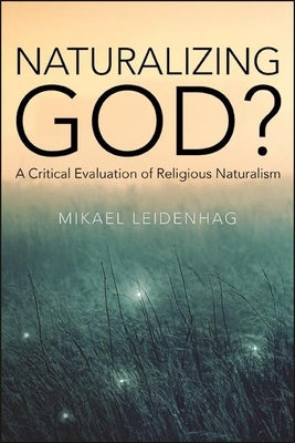Naturalizing God?: A Critical Evaluation of Religious Naturalism by Leidenhag, Mikael