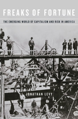 Freaks of Fortune: The Emerging World of Capitalism and Risk in America by Levy, Jonathan