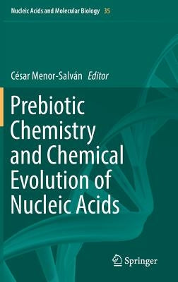 Prebiotic Chemistry and Chemical Evolution of Nucleic Acids by Menor-Salván, César