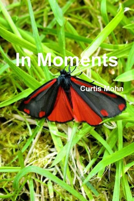 In Moments by Mohn, Curtis