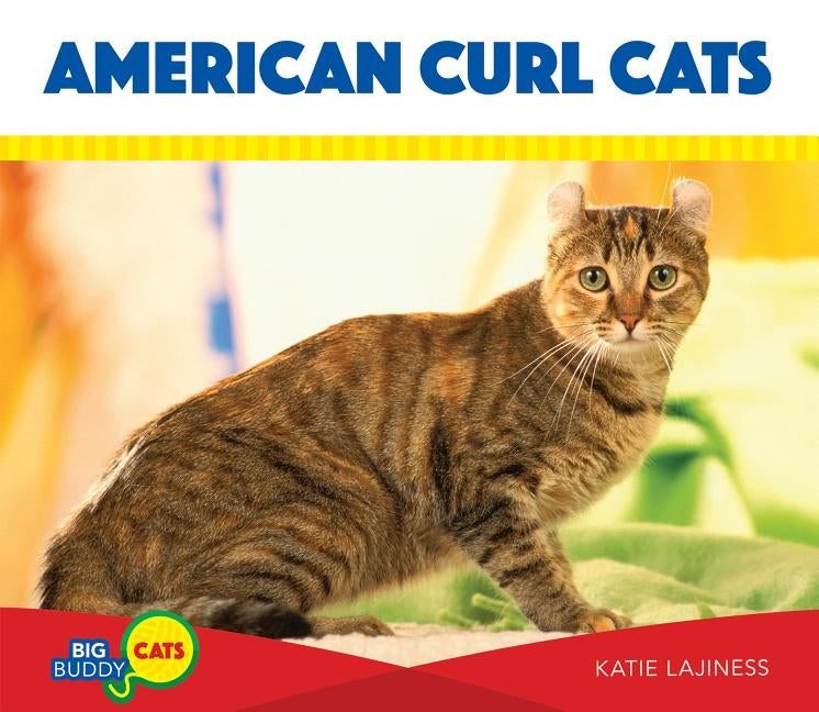American Curl Cats by Lajiness, Katie