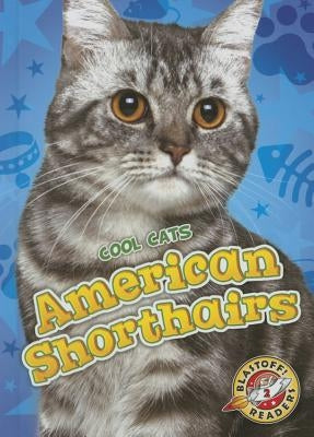 American Shorthairs by Leaf, Christina