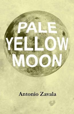 Pale Yellow Moon by Zavala, Antonio