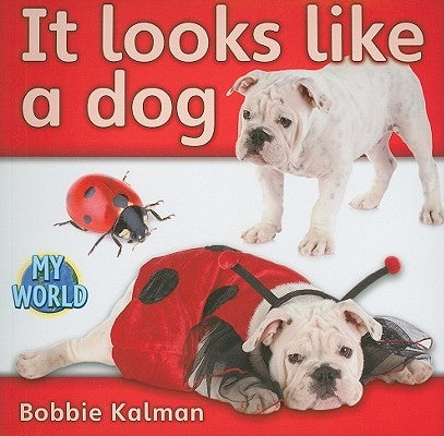 It Looks Like a Dog by Kalman, Bobbie