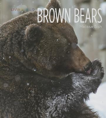 Brown Bears by Gish, Melissa