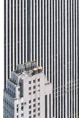 Rendering Eye: Urban America Revisited by Bochsler, Regula