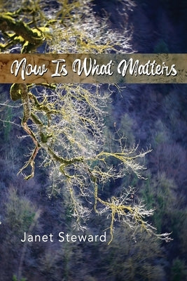 Now Is What Matters by Steward, Janet