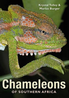 Chameleons of Southern Africa by Burger, Marius