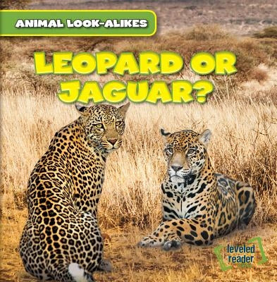Leopard or Jaguar? by Ryndak, Rob