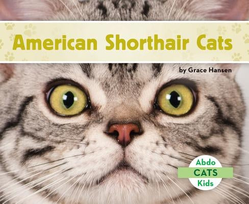 American Shorthair Cats by Hansen, Grace