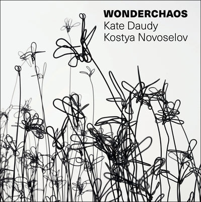 Wonderchaos by Novoselov, Kostya S.