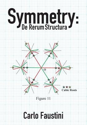 Symmetry: De Rerum Structura by Faustini, Carlo
