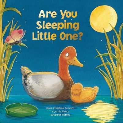 Are You Sleeping Little One? by Schmidt, Hans-Christian