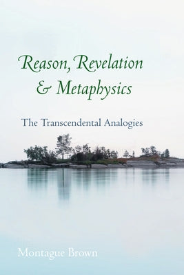 Reason, Revelation, and Metaphysics: The Transcendental Analogies by Brown, Montague