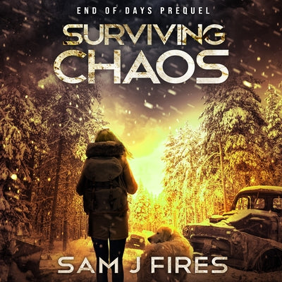 Surviving Chaos by 