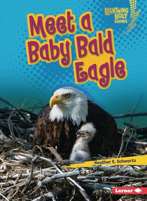Meet a Baby Bald Eagle by Schwartz, Heather E.