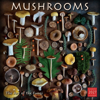 Mushrooms: The Art of the Fungi by Moritz Schmid