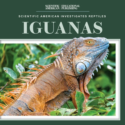 Iguanas by Youssef, Jagger