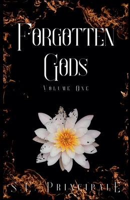 Forgotten Gods: Volume One by Principale, S. C.