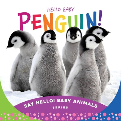 Hello Baby Penguin! by Rose, Beverly