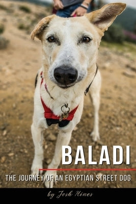 Baladi: The Journey of an Egyptian Street Dog by Stewart, Nick