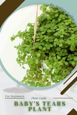 Baby's Tears plant: Prodigy Petal, Plant Guide by Prodigy, Petal
