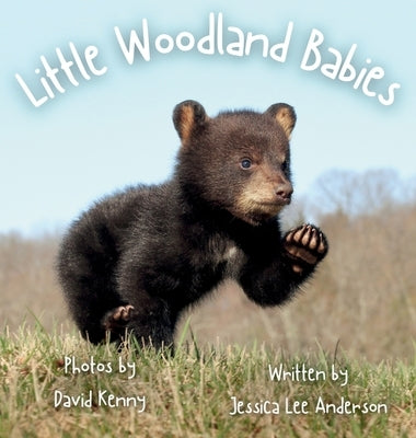 Little Woodland Babies by Anderson, Jessica Lee