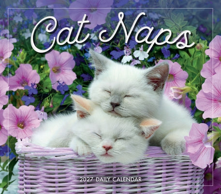 Cat Naps by Sellers Publishing, Inc
