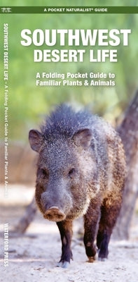 Southwestern Desert Life: A Folding Pocket Guide to Familiar Plants & Animals by Kavanagh, James