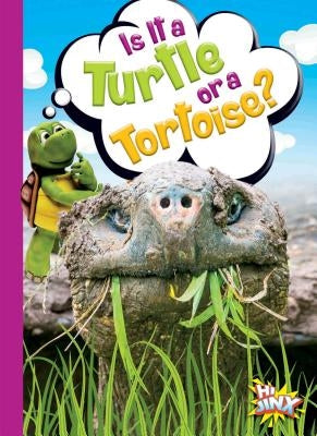 Is It a Turtle or a Tortoise? by Terp, Gail