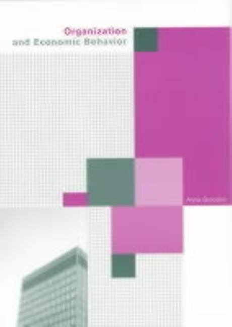 Organization and Economic Behaviour by Grandori, Anna