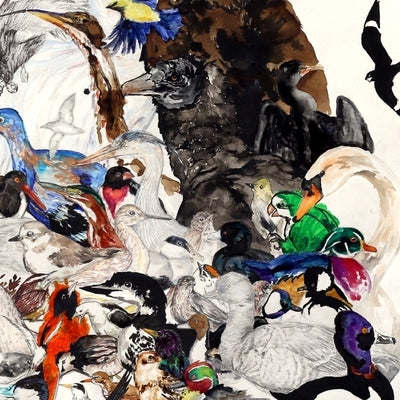 10,000 Birds: Volume 1 by Baal, Christina