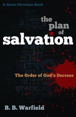 The Plan of Salvation: The order of God's decrees by Rotolo, Michael