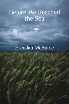 Before We Reached the Sea by McEntee, Brendan