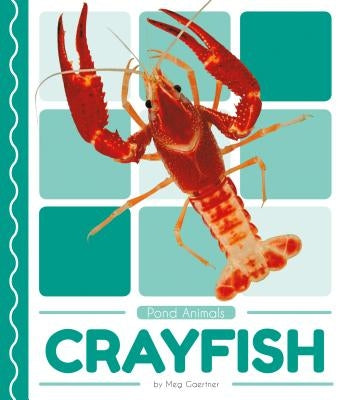 Crayfish by Gaertner, Meg