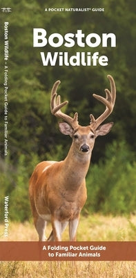 Boston Wildlife: A Folding Pocket Guide to Familiar Animals by Waterford Press