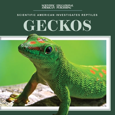 Geckos by Youssef, Jagger