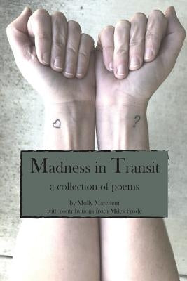 Madness in Transit by Marchetti, Molly
