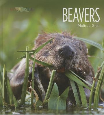 Beavers by Gish, Melissa