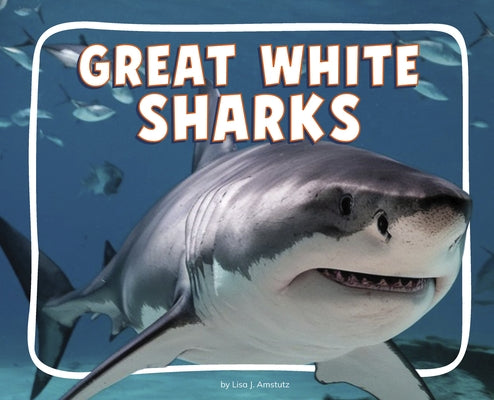 Great White Sharks by Amstutz, Lisa J.