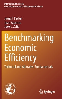 Benchmarking Economic Efficiency: Technical and Allocative Fundamentals by Pastor, Jesús T.