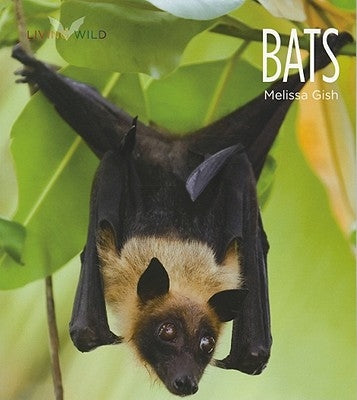 Living Wild: Bats by Gish, Melissa