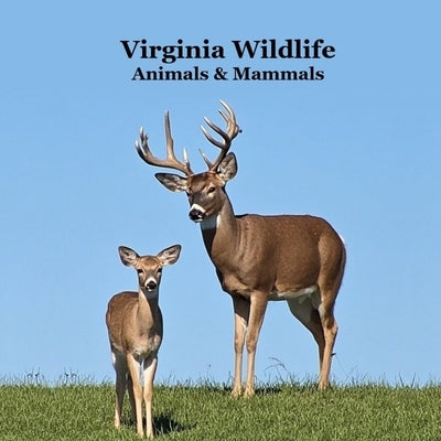Virginia Animals and Mammals Kids Wildlife Book: Great Wildlife Book about Animals and Mammals in Virginia by Marie, Kinsey