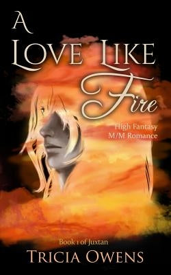 A Love Like Fire: High Fantasy M/M Romance by Owens, Tricia