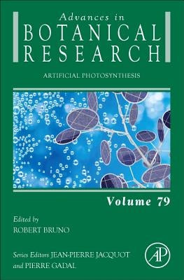 Artificial Photosynthesis: Volume 79 by Robert, Bruno