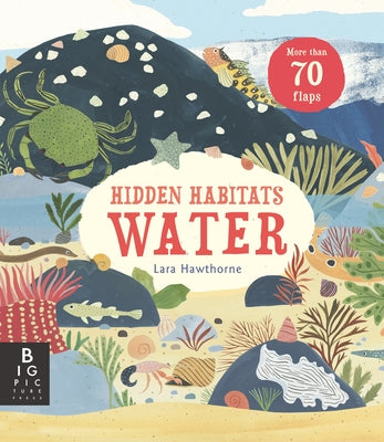 Hidden Habitats: Water by Murray, Lily