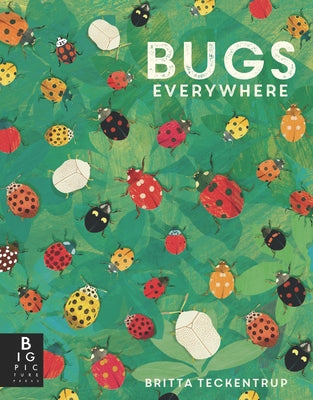 Bugs Everywhere by Murray, Lily