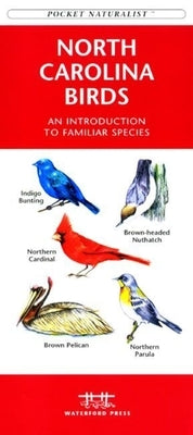 Colorado Birds: A Folding Pocket Guide to Familiar Species by Kavanagh, James